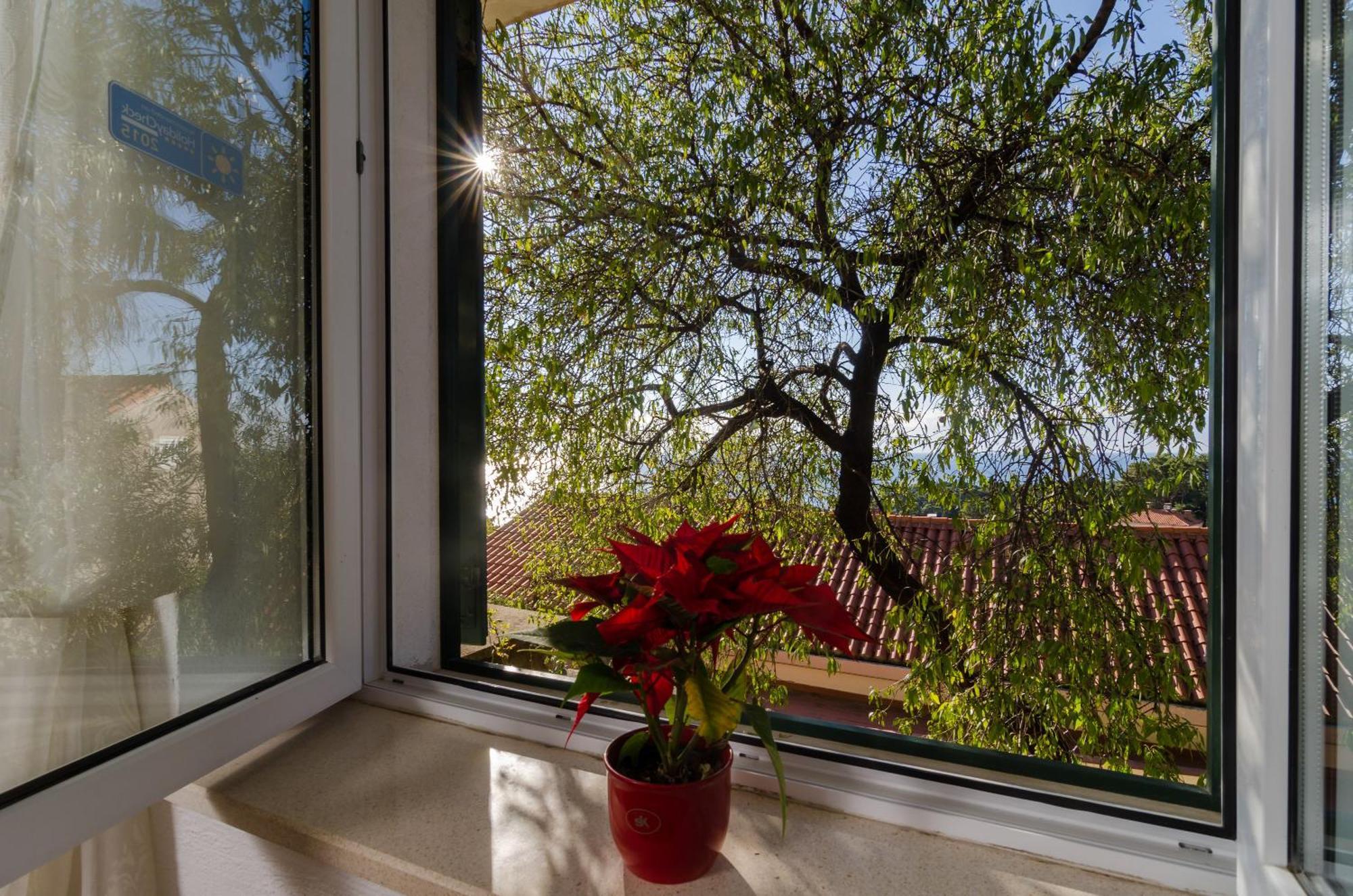 B&B Villa Dubrovnik Garden Zimmer foto